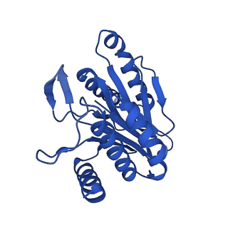 4128_5lzp_L_v1-5
Binding of the C-terminal GQYL motif of the bacterial proteasome activator Bpa to the 20S proteasome