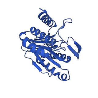 4128_5lzp_O_v1-5
Binding of the C-terminal GQYL motif of the bacterial proteasome activator Bpa to the 20S proteasome