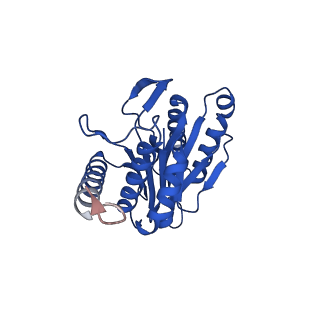 4128_5lzp_P_v1-5
Binding of the C-terminal GQYL motif of the bacterial proteasome activator Bpa to the 20S proteasome