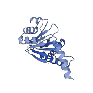 4128_5lzp_Q_v1-5
Binding of the C-terminal GQYL motif of the bacterial proteasome activator Bpa to the 20S proteasome