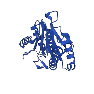 4128_5lzp_R_v1-5
Binding of the C-terminal GQYL motif of the bacterial proteasome activator Bpa to the 20S proteasome