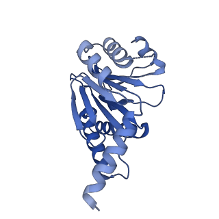 4128_5lzp_S_v1-5
Binding of the C-terminal GQYL motif of the bacterial proteasome activator Bpa to the 20S proteasome