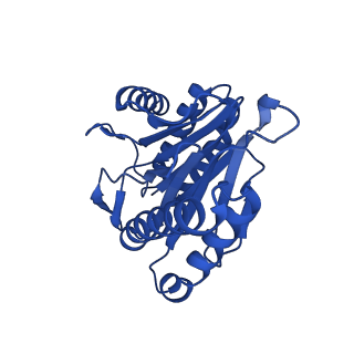 4128_5lzp_T_v1-5
Binding of the C-terminal GQYL motif of the bacterial proteasome activator Bpa to the 20S proteasome