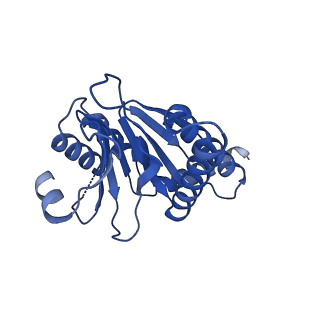 4128_5lzp_W_v1-5
Binding of the C-terminal GQYL motif of the bacterial proteasome activator Bpa to the 20S proteasome