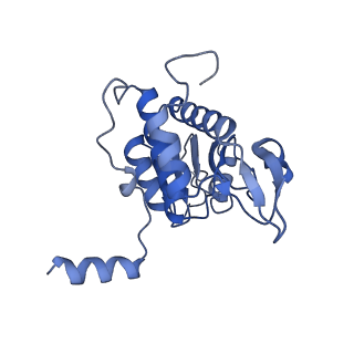 4130_5lzs_AA_v1-0
Structure of the mammalian ribosomal elongation complex with aminoacyl-tRNA, eEF1A, and didemnin B