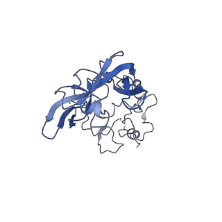 4130_5lzs_A_v1-0
Structure of the mammalian ribosomal elongation complex with aminoacyl-tRNA, eEF1A, and didemnin B