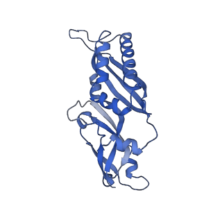4130_5lzs_BB_v1-0
Structure of the mammalian ribosomal elongation complex with aminoacyl-tRNA, eEF1A, and didemnin B