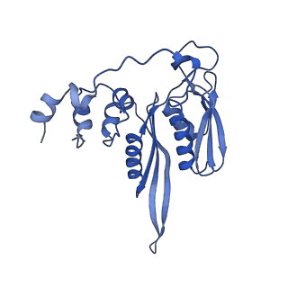 4130_5lzs_CC_v1-0
Structure of the mammalian ribosomal elongation complex with aminoacyl-tRNA, eEF1A, and didemnin B