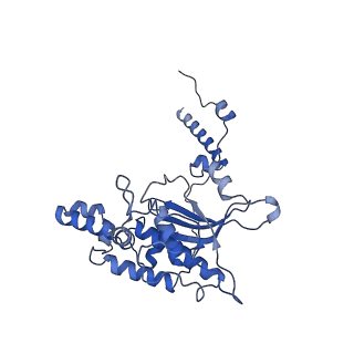 4130_5lzs_D_v1-0
Structure of the mammalian ribosomal elongation complex with aminoacyl-tRNA, eEF1A, and didemnin B