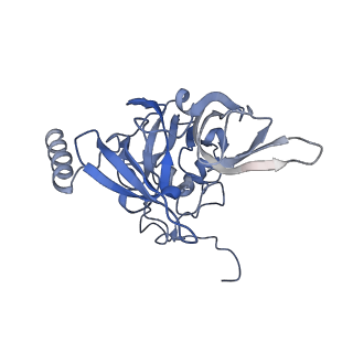 4130_5lzs_EE_v1-0
Structure of the mammalian ribosomal elongation complex with aminoacyl-tRNA, eEF1A, and didemnin B