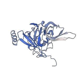 4130_5lzs_EE_v2-2
Structure of the mammalian ribosomal elongation complex with aminoacyl-tRNA, eEF1A, and didemnin B