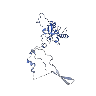 4130_5lzs_E_v1-0
Structure of the mammalian ribosomal elongation complex with aminoacyl-tRNA, eEF1A, and didemnin B
