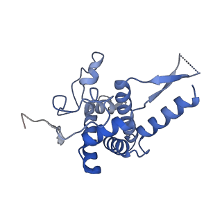 4130_5lzs_FF_v2-2
Structure of the mammalian ribosomal elongation complex with aminoacyl-tRNA, eEF1A, and didemnin B