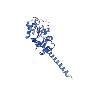 4130_5lzs_F_v1-0
Structure of the mammalian ribosomal elongation complex with aminoacyl-tRNA, eEF1A, and didemnin B
