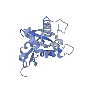 4130_5lzs_HH_v1-0
Structure of the mammalian ribosomal elongation complex with aminoacyl-tRNA, eEF1A, and didemnin B