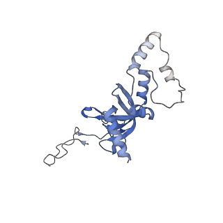 4130_5lzs_II_v1-0
Structure of the mammalian ribosomal elongation complex with aminoacyl-tRNA, eEF1A, and didemnin B