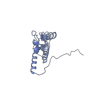 4130_5lzs_JJ_v1-0
Structure of the mammalian ribosomal elongation complex with aminoacyl-tRNA, eEF1A, and didemnin B