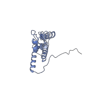 4130_5lzs_JJ_v2-2
Structure of the mammalian ribosomal elongation complex with aminoacyl-tRNA, eEF1A, and didemnin B