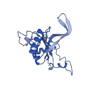 4130_5lzs_J_v1-0
Structure of the mammalian ribosomal elongation complex with aminoacyl-tRNA, eEF1A, and didemnin B