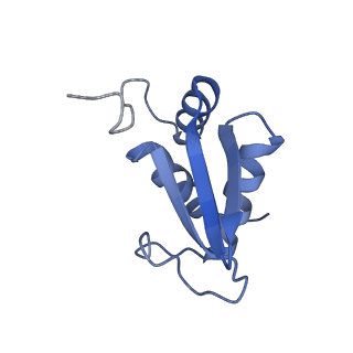 4130_5lzs_KK_v1-0
Structure of the mammalian ribosomal elongation complex with aminoacyl-tRNA, eEF1A, and didemnin B