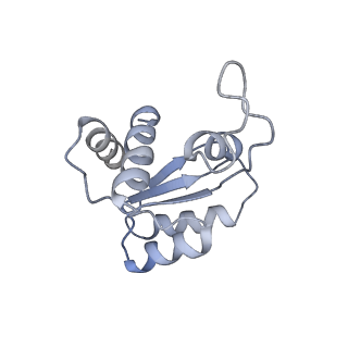 4130_5lzs_MM_v2-2
Structure of the mammalian ribosomal elongation complex with aminoacyl-tRNA, eEF1A, and didemnin B
