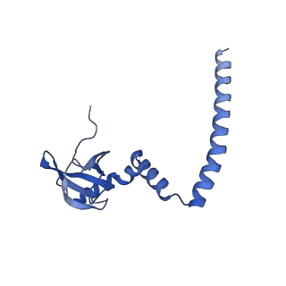 4130_5lzs_M_v1-0
Structure of the mammalian ribosomal elongation complex with aminoacyl-tRNA, eEF1A, and didemnin B