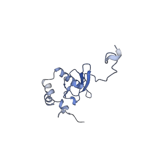 4130_5lzs_PP_v1-0
Structure of the mammalian ribosomal elongation complex with aminoacyl-tRNA, eEF1A, and didemnin B