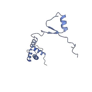 4130_5lzs_RR_v1-0
Structure of the mammalian ribosomal elongation complex with aminoacyl-tRNA, eEF1A, and didemnin B