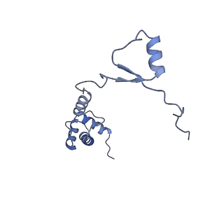 4130_5lzs_RR_v2-2
Structure of the mammalian ribosomal elongation complex with aminoacyl-tRNA, eEF1A, and didemnin B