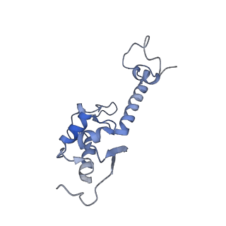 4130_5lzs_SS_v1-0
Structure of the mammalian ribosomal elongation complex with aminoacyl-tRNA, eEF1A, and didemnin B