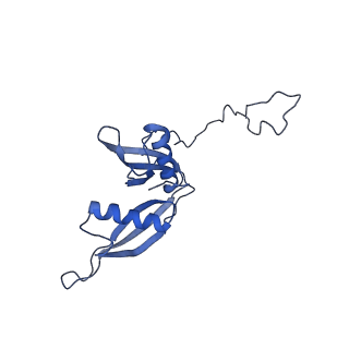 4130_5lzs_S_v1-0
Structure of the mammalian ribosomal elongation complex with aminoacyl-tRNA, eEF1A, and didemnin B