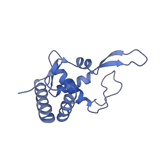 4130_5lzs_TT_v1-0
Structure of the mammalian ribosomal elongation complex with aminoacyl-tRNA, eEF1A, and didemnin B