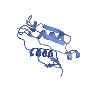 4130_5lzs_U_v1-0
Structure of the mammalian ribosomal elongation complex with aminoacyl-tRNA, eEF1A, and didemnin B