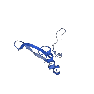 4130_5lzs_VV_v1-0
Structure of the mammalian ribosomal elongation complex with aminoacyl-tRNA, eEF1A, and didemnin B