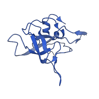 4130_5lzs_V_v1-0
Structure of the mammalian ribosomal elongation complex with aminoacyl-tRNA, eEF1A, and didemnin B