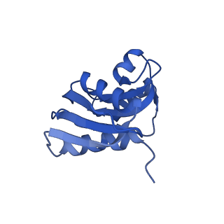 4130_5lzs_WW_v1-0
Structure of the mammalian ribosomal elongation complex with aminoacyl-tRNA, eEF1A, and didemnin B