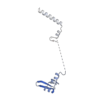 4130_5lzs_W_v1-0
Structure of the mammalian ribosomal elongation complex with aminoacyl-tRNA, eEF1A, and didemnin B