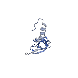 4130_5lzs_XX_v2-2
Structure of the mammalian ribosomal elongation complex with aminoacyl-tRNA, eEF1A, and didemnin B