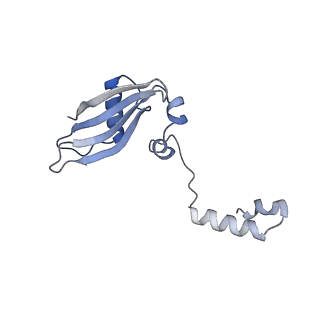 4130_5lzs_YY_v1-0
Structure of the mammalian ribosomal elongation complex with aminoacyl-tRNA, eEF1A, and didemnin B