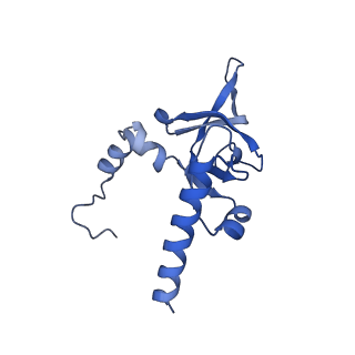 4130_5lzs_Y_v1-0
Structure of the mammalian ribosomal elongation complex with aminoacyl-tRNA, eEF1A, and didemnin B