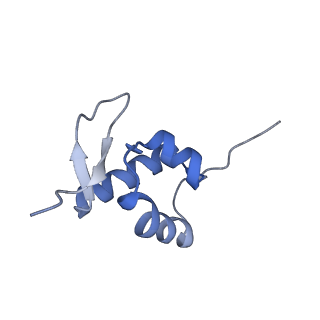 4130_5lzs_ZZ_v1-0
Structure of the mammalian ribosomal elongation complex with aminoacyl-tRNA, eEF1A, and didemnin B
