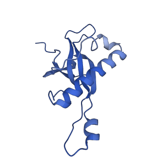4130_5lzs_Z_v1-0
Structure of the mammalian ribosomal elongation complex with aminoacyl-tRNA, eEF1A, and didemnin B