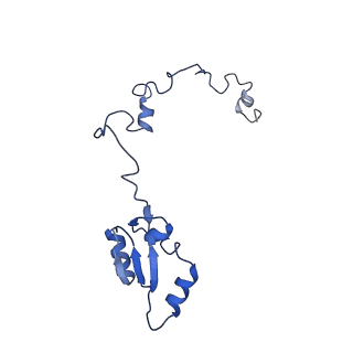 4130_5lzs_a_v1-0
Structure of the mammalian ribosomal elongation complex with aminoacyl-tRNA, eEF1A, and didemnin B