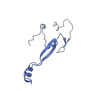 4130_5lzs_aa_v1-0
Structure of the mammalian ribosomal elongation complex with aminoacyl-tRNA, eEF1A, and didemnin B
