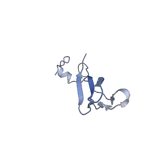 4130_5lzs_bb_v1-0
Structure of the mammalian ribosomal elongation complex with aminoacyl-tRNA, eEF1A, and didemnin B