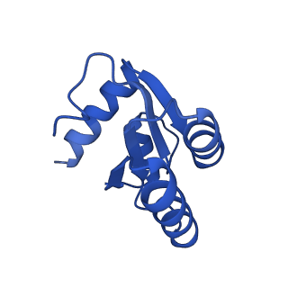 4130_5lzs_c_v1-0
Structure of the mammalian ribosomal elongation complex with aminoacyl-tRNA, eEF1A, and didemnin B