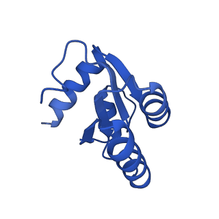 4130_5lzs_c_v2-2
Structure of the mammalian ribosomal elongation complex with aminoacyl-tRNA, eEF1A, and didemnin B