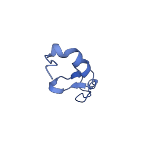 4130_5lzs_dd_v1-0
Structure of the mammalian ribosomal elongation complex with aminoacyl-tRNA, eEF1A, and didemnin B