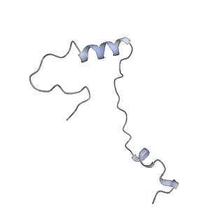 4130_5lzs_ee_v2-2
Structure of the mammalian ribosomal elongation complex with aminoacyl-tRNA, eEF1A, and didemnin B