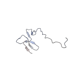 4130_5lzs_ff_v2-2
Structure of the mammalian ribosomal elongation complex with aminoacyl-tRNA, eEF1A, and didemnin B